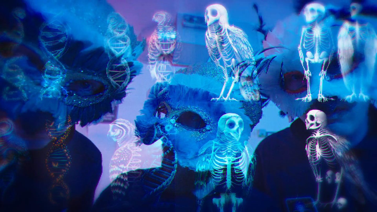 Holographic owl skeletons projected over the masked specimens