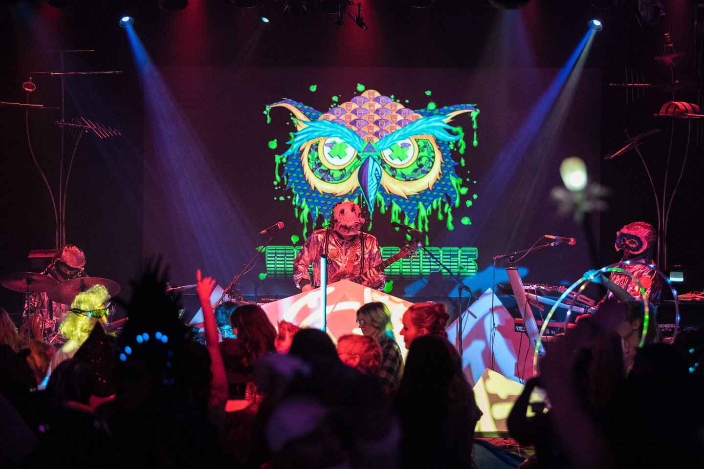 Owl signal