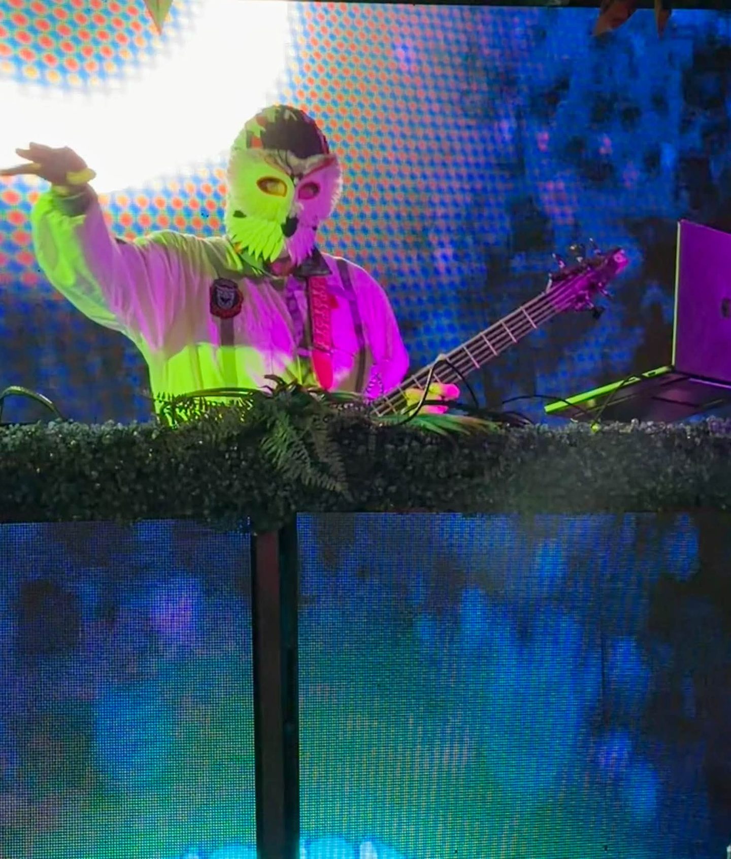 Bass under the glow